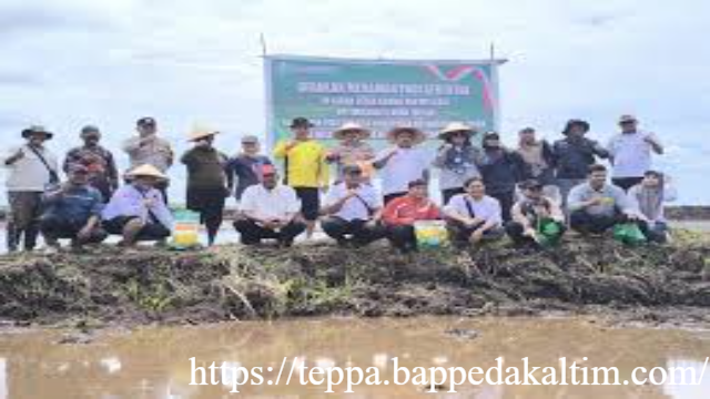 Tanam Serentak di Lahan Cetak Sawah