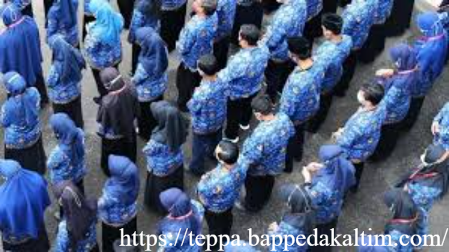 Kemenko Infra Rancang Kepmenko Pola Karier