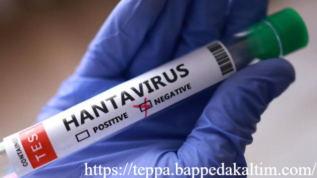 Kemenkes Minta Warga Waspada Penyakit